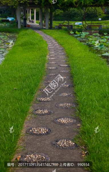 公園小道