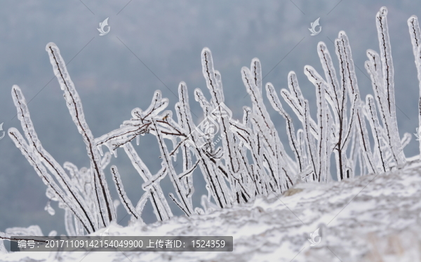 冰天雪地