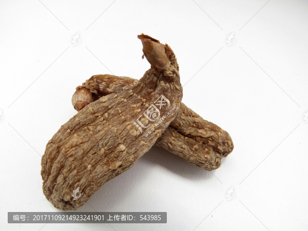 天麻素材