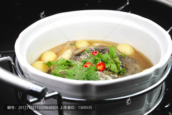甲魚(yú)