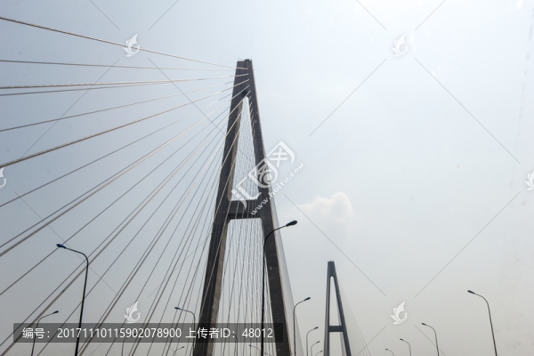 天津海河大橋