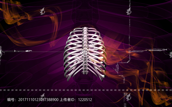 制圖學(xué)
