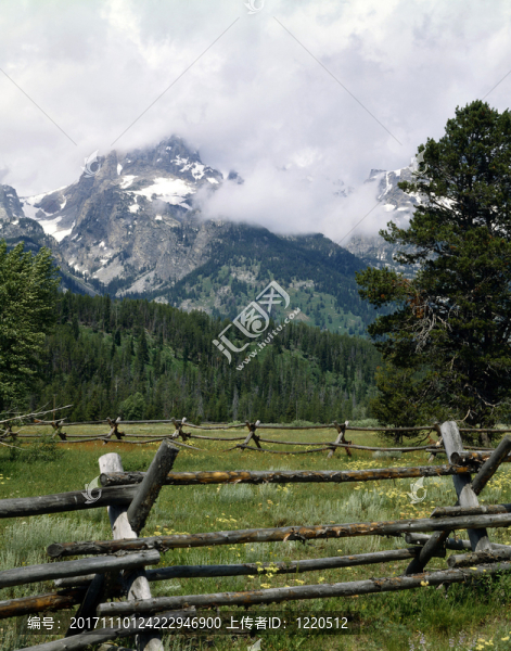 山