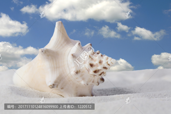 藍(lán)色