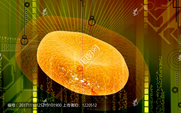 教育