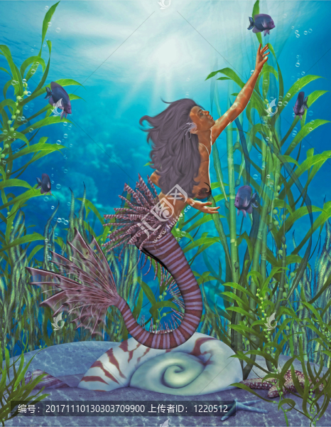 美人魚