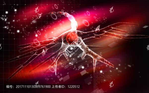 教育