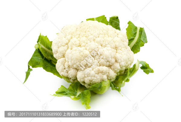緊密的