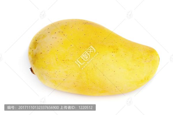 緊密的