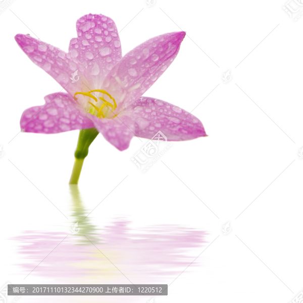 緊密的