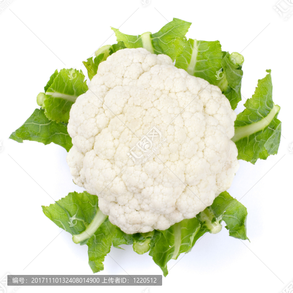 緊密的