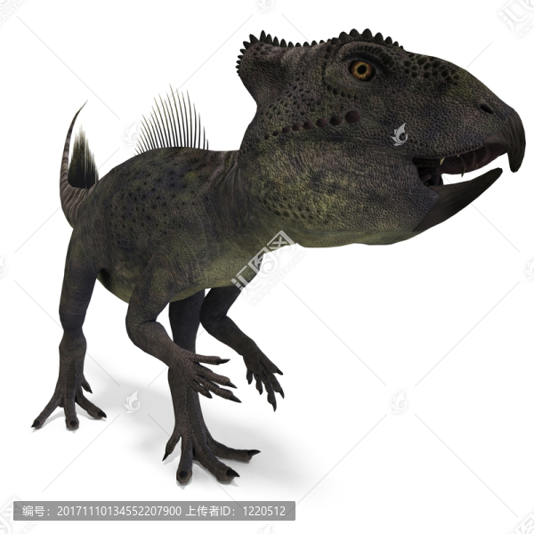 說明