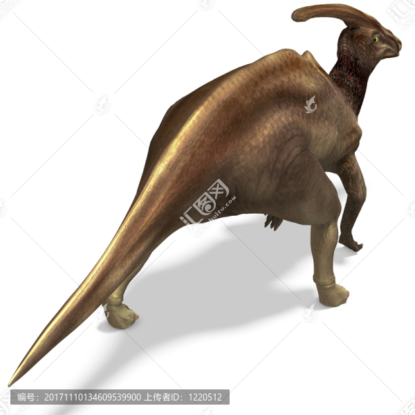 說明