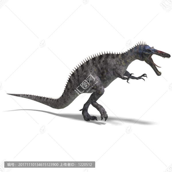 說明