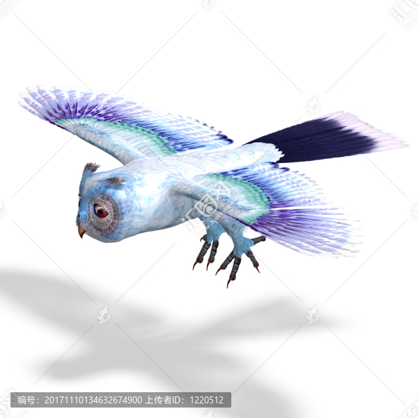 說明