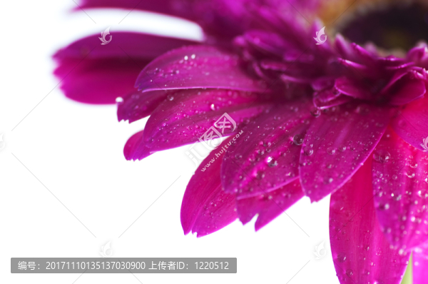 緊密的