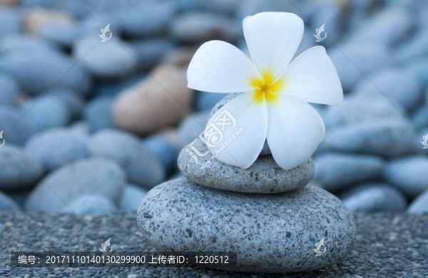 物體
