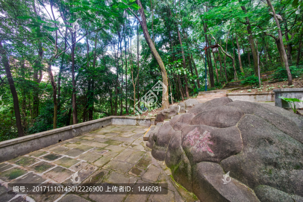 惠州飛鵝嶺公園
