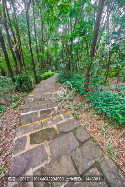 惠州飛鵝嶺公園