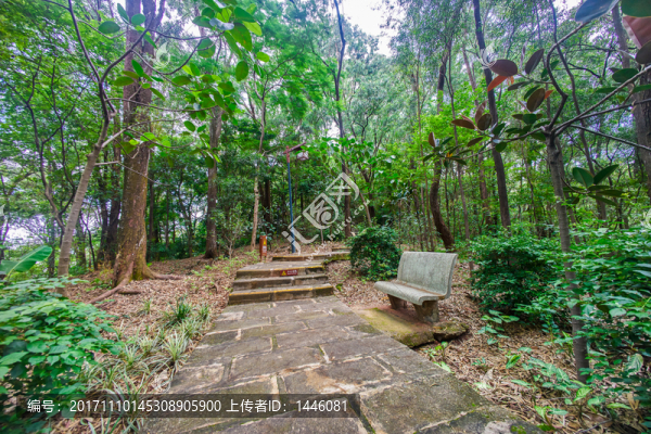 惠州飛鵝嶺公園