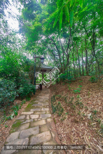 惠州飛鵝嶺公園