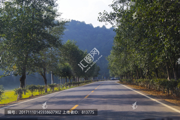 道路山林
