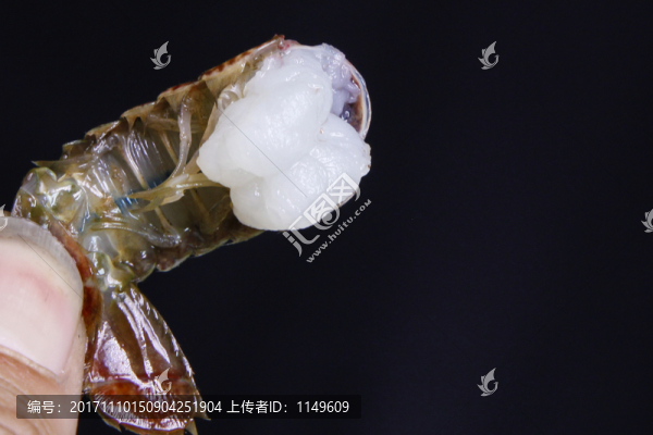 手拿著小龍蝦蝦尾