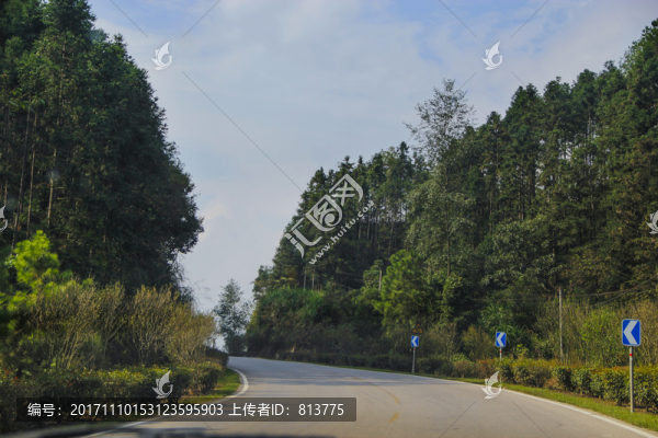 綠色彎道路徑