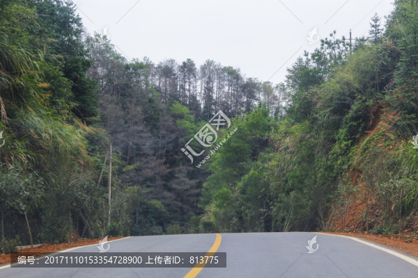 山路美景