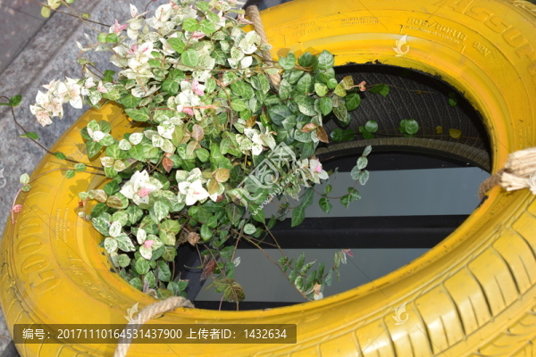 花輪胎