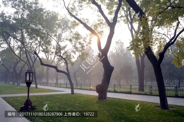 道路兩旁的樹林