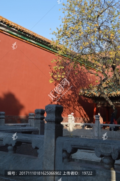 紅墻,邊上的小樹