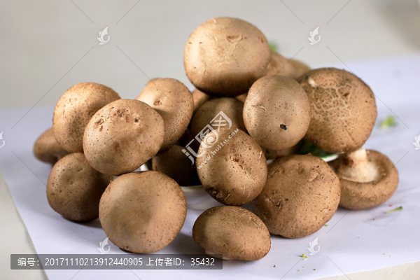 野生香菇