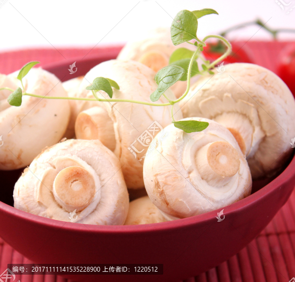 食物