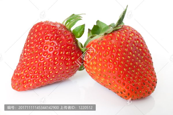 食物