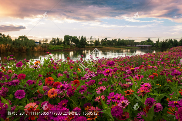 園林花海