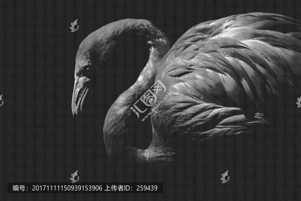 板畫火烈鳥