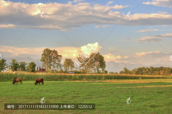 旅行