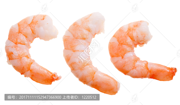 食物