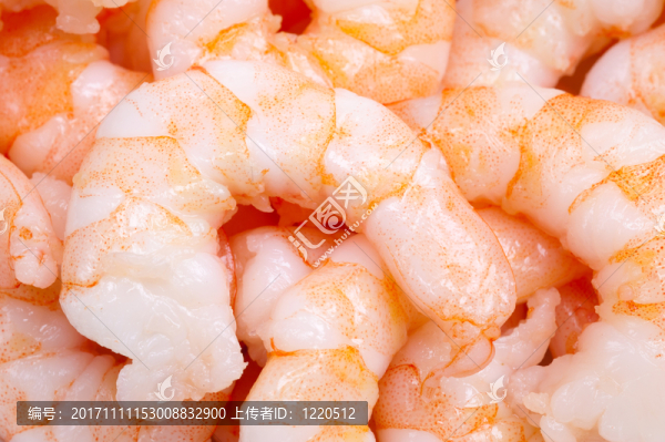 食物