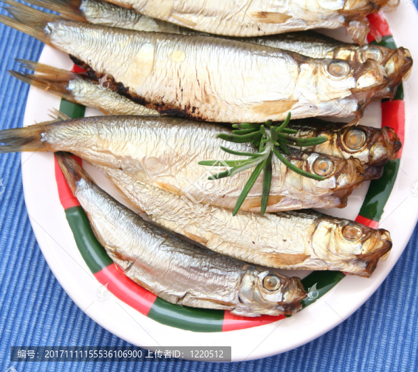 鯡魚