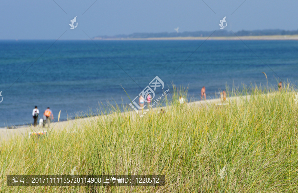 在海灘上全景