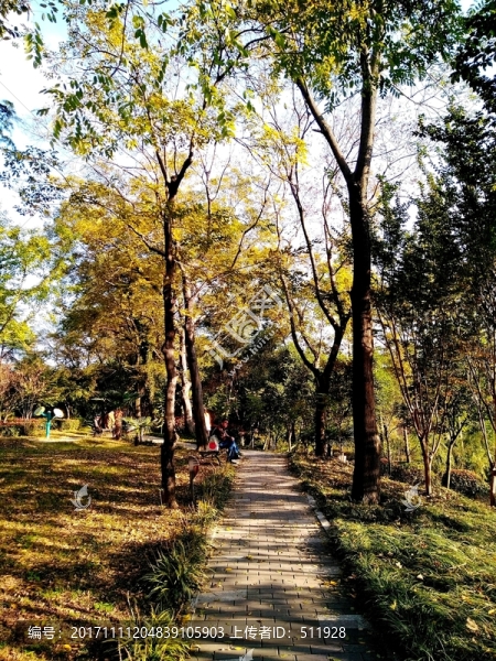 南京鳳凰山公園
