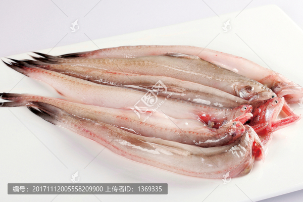 九吐魚