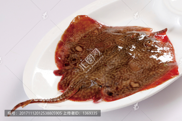 孔鰩