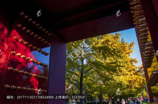 北京地壇公園,銀杏大道