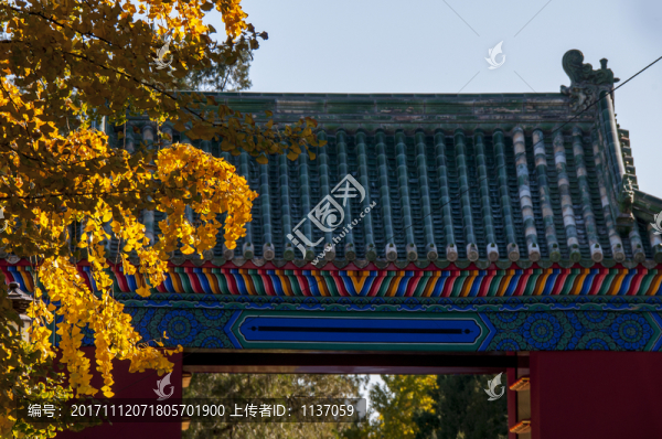 北京地壇公園,秋色