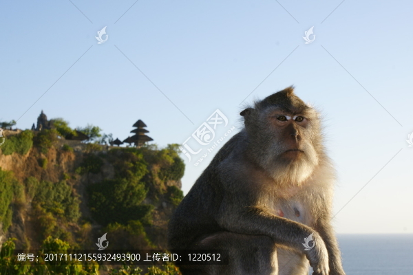 在巴厘島印度尼西亞的uluwatu寺廟