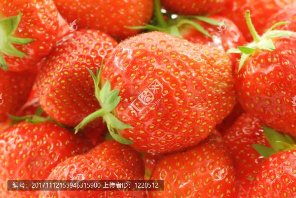食物