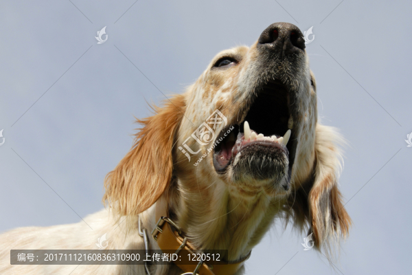 網(wǎng)絡(luò)日志本
